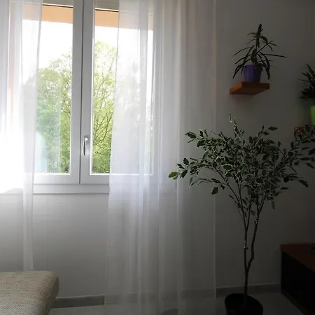 Con Park View Style E Comfort Apartment